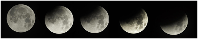 lunrn fze